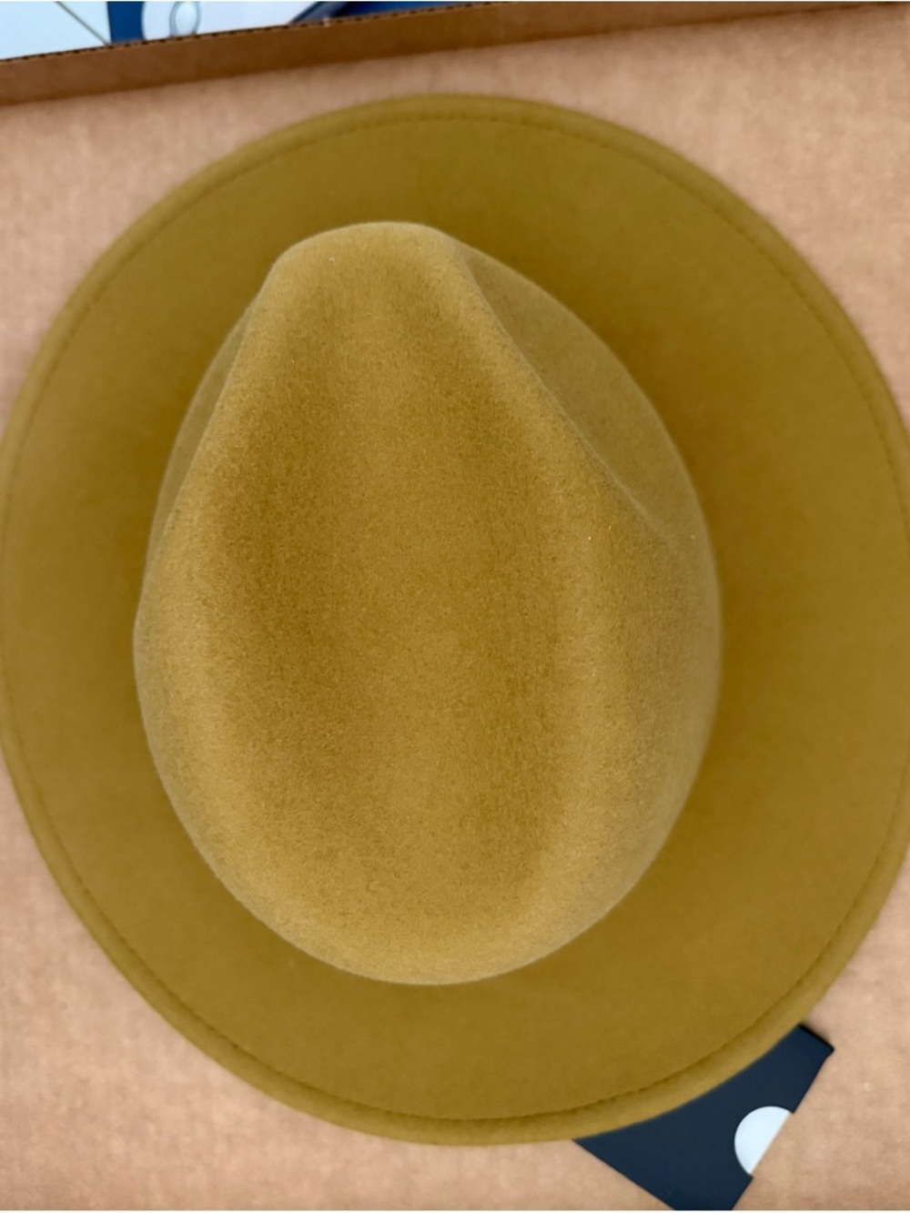 GIGI PIP Black-Lined Mustard Felt Fedora
